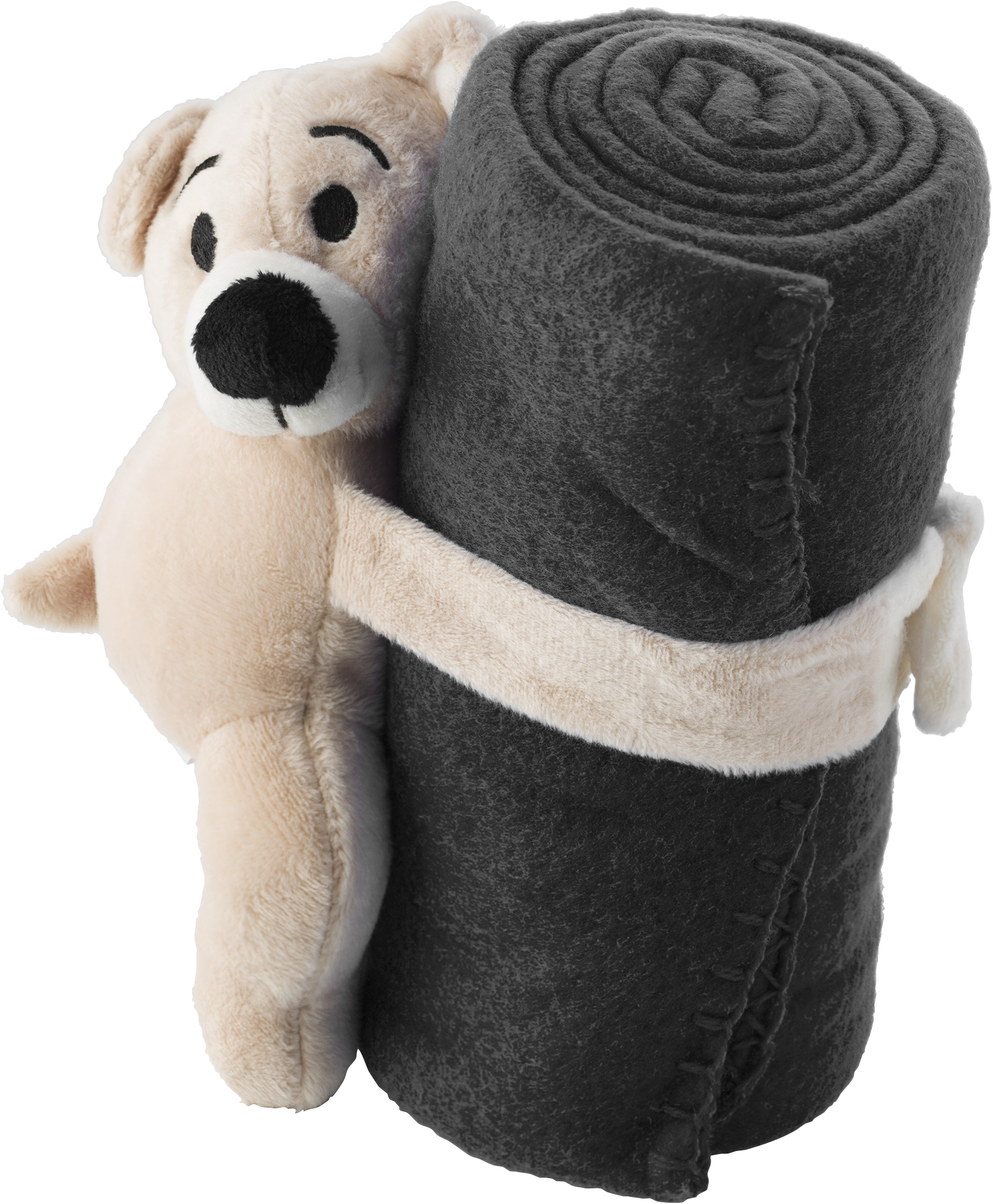 Picture of Plush Bear with fleece blanket