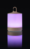 Multi-functional light 1206638_002 (White)
