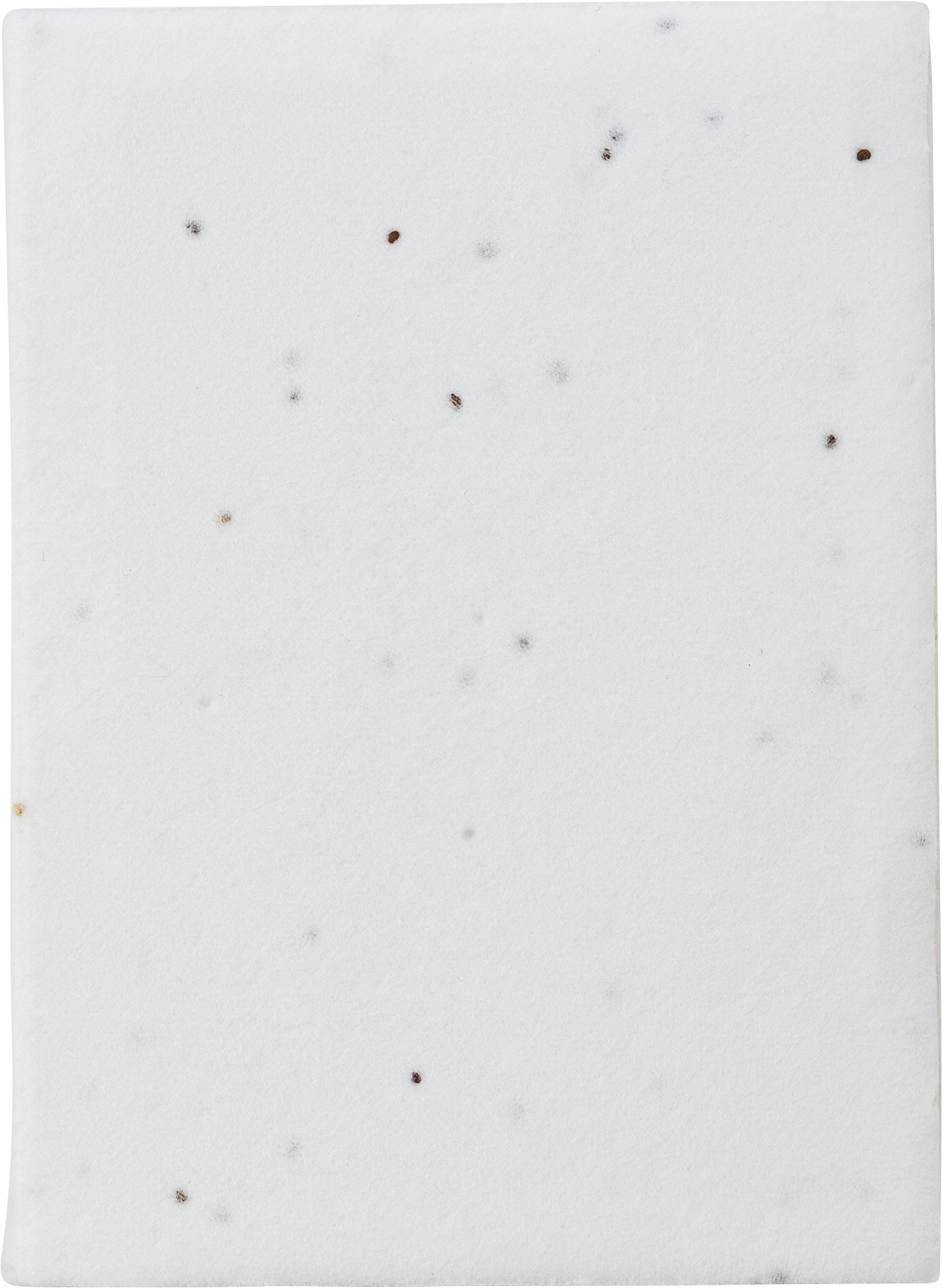 Picture of Printed seed paper sticky notes