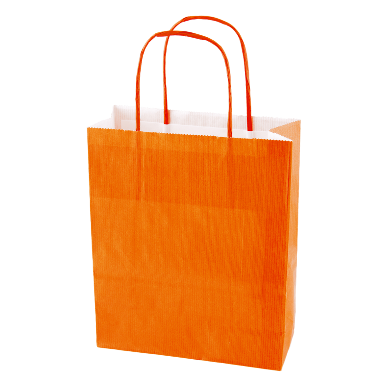 Paper bag (220 x 310 x 100mm) X201613_007 (Orange)