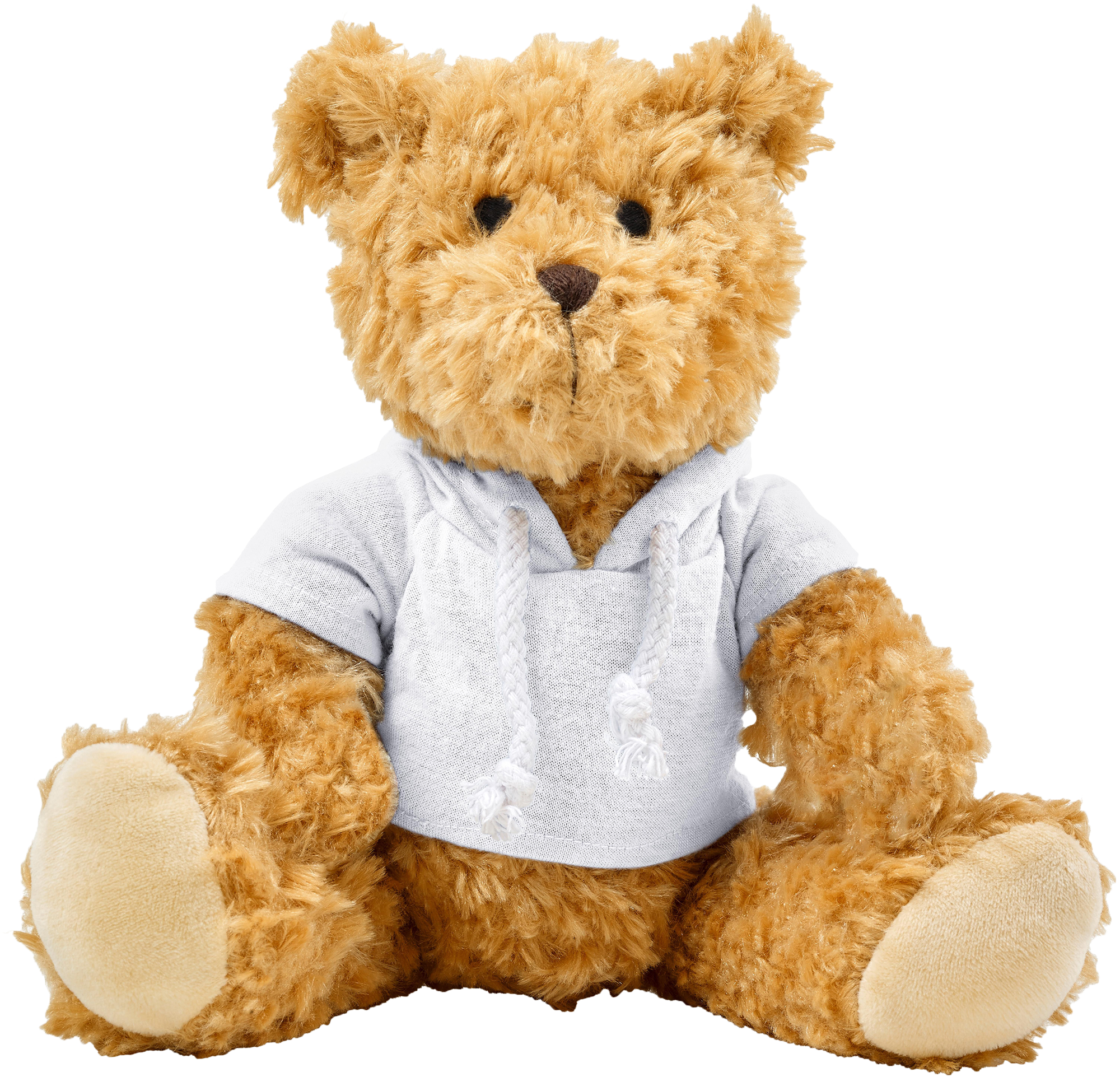 Picture of Plush teddy bear with hoodie