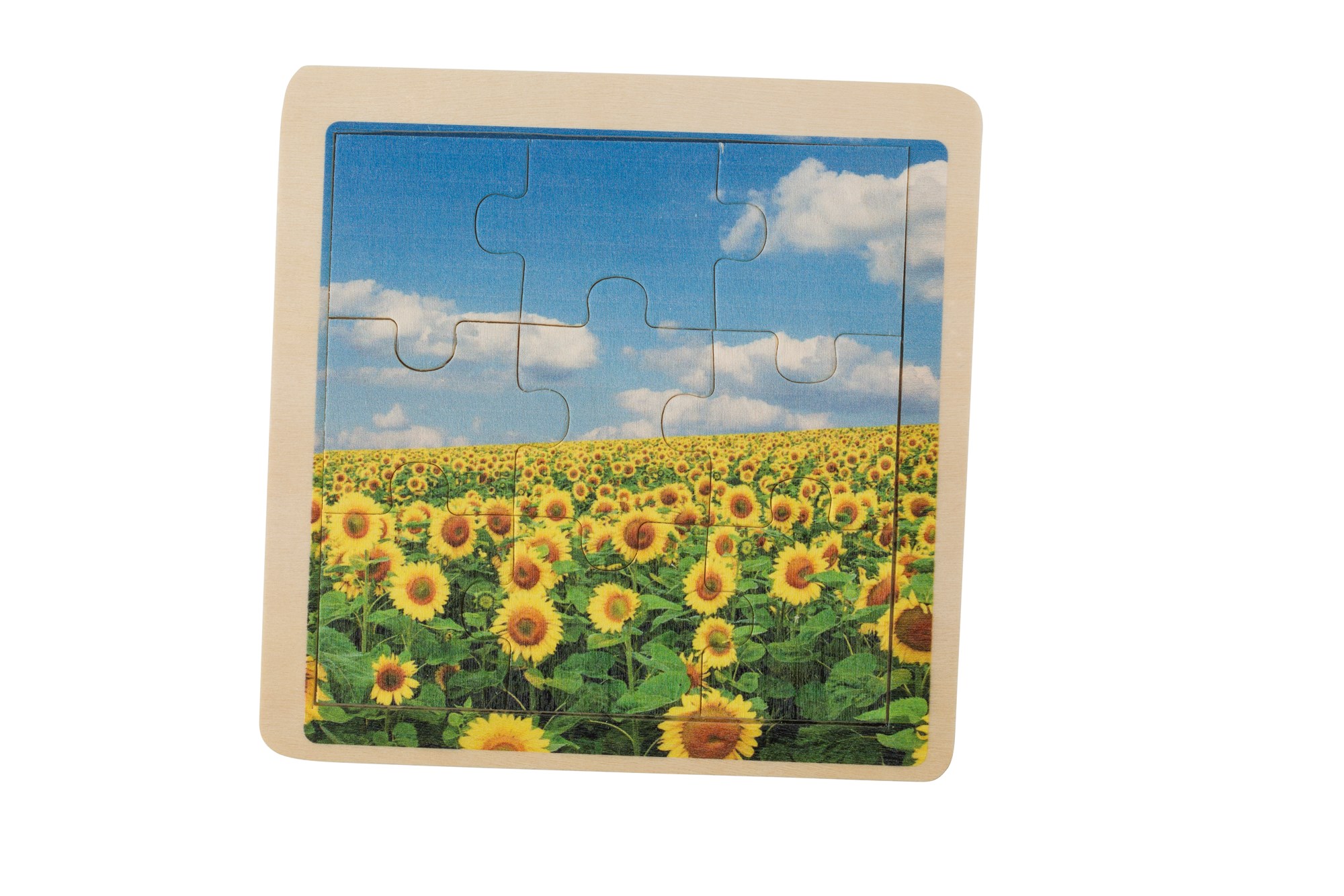 Picture of Wooden nine piece puzzle