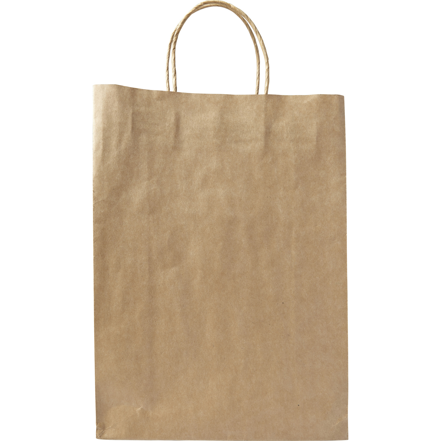 Picture of Paper bag (large)
