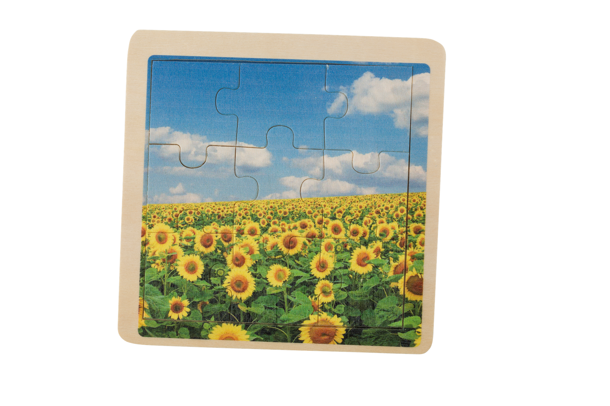 Picture of Wooden nine piece puzzle