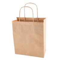 Paper bag (220 x 310 x 100mm) X201612_011 (Brown)