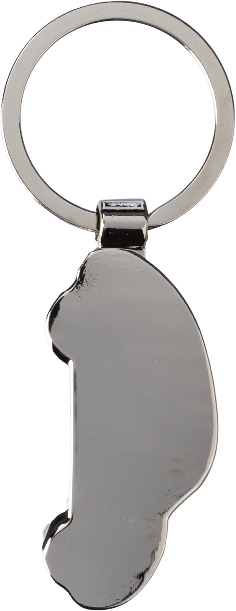 Picture of Car keyring