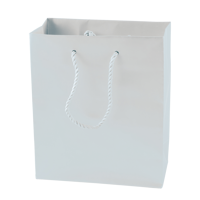 Matt paper bag (270 x 370 x 120mm) X201620_002 (White)