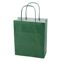 Paper bag (220 x 310 x 100mm) X201613_004 (Green)