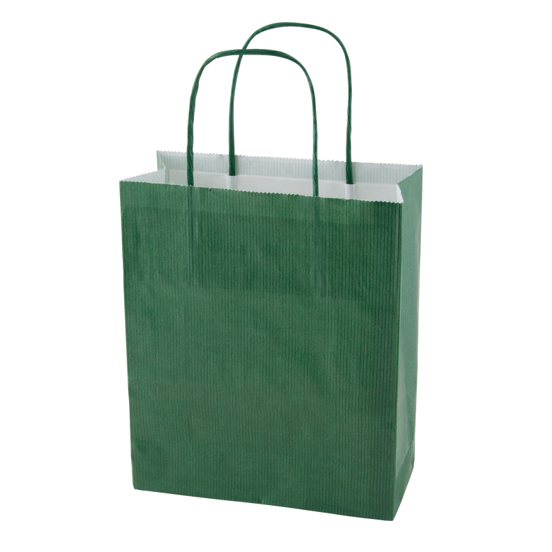 Paper bag (220 x 310 x 100mm) X201613_004 (Green)