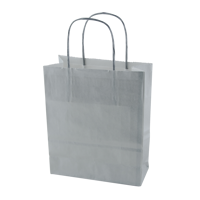 Paper bag (180 x 220 x 80mm) X201611_032 (Silver)