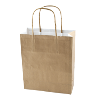 Paper bag (220 x 310 x 100mm) X201613_031 (Gold)