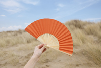 Bamboo fan 1041502_lif