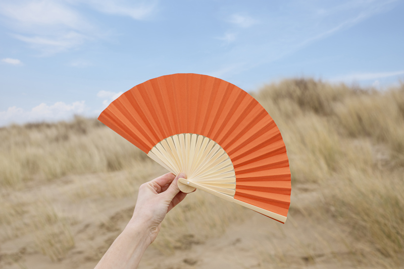 Bamboo fan 1041502_lif