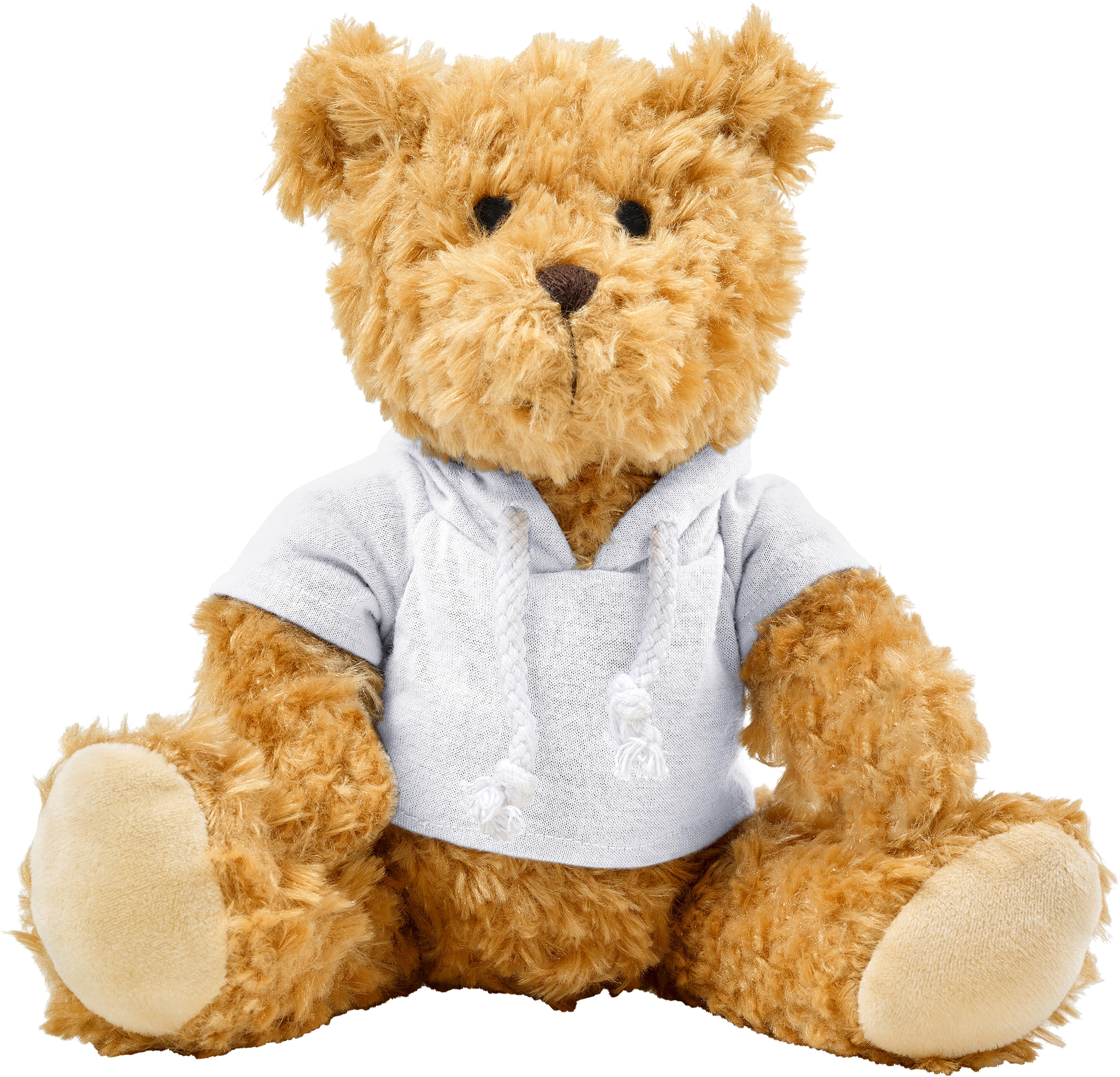Picture of Plush teddy bear with hoodie