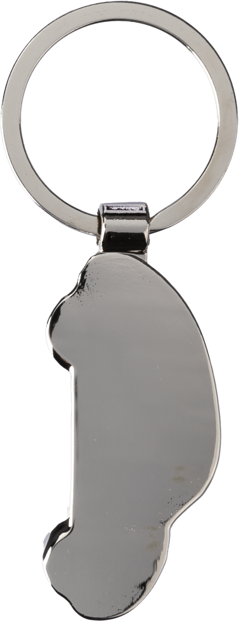 Picture of Car keyring