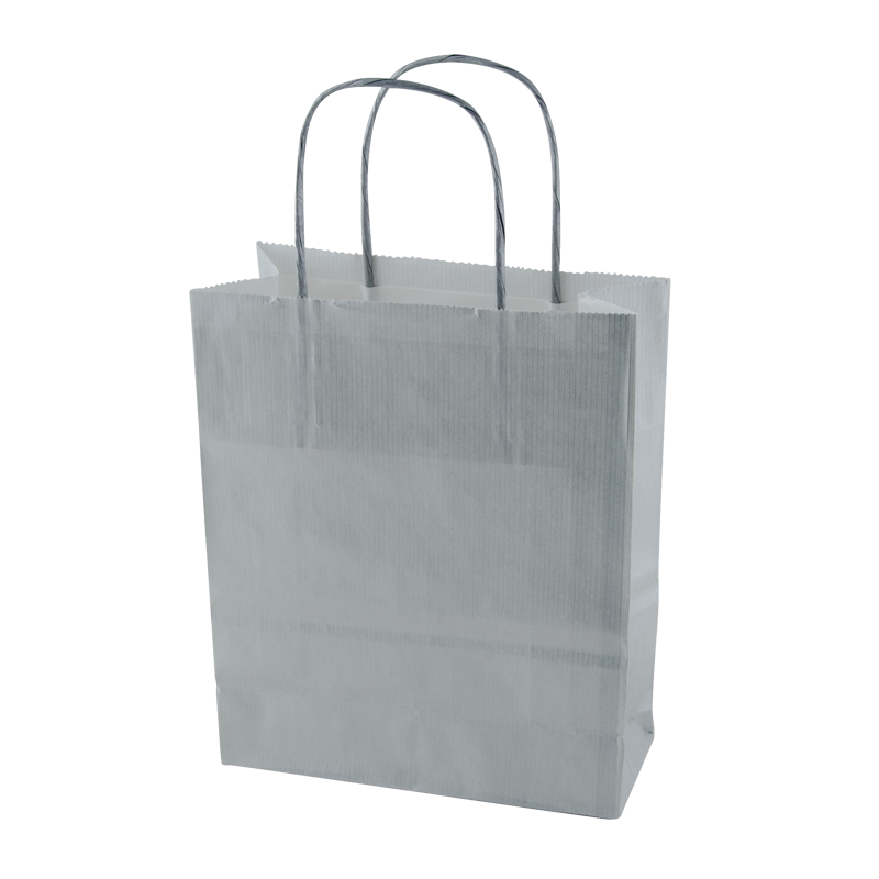 Paper bag (220 x 310 x 100mm) X201613_032 (Silver)
