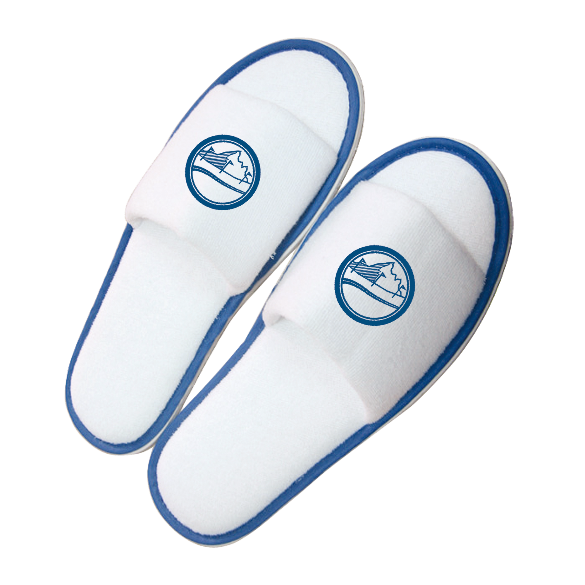 Picture of Pair of slippers