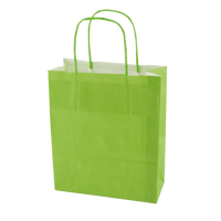 Paper bag (180 x 220 x 80mm) X201611_019 (Lime)