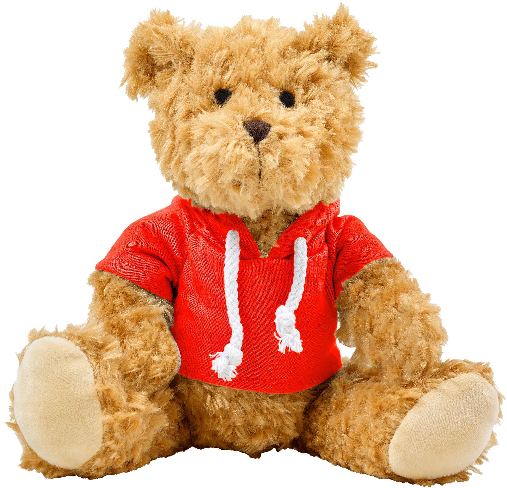Picture of Plush teddy bear with hoodie