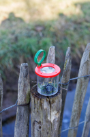 Magnifying jar 1454842_lif