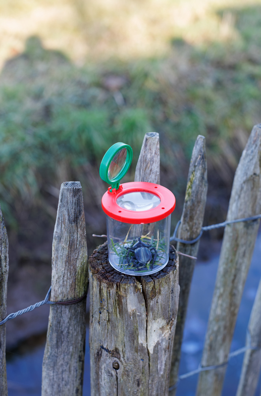 Magnifying jar 1454842_lif