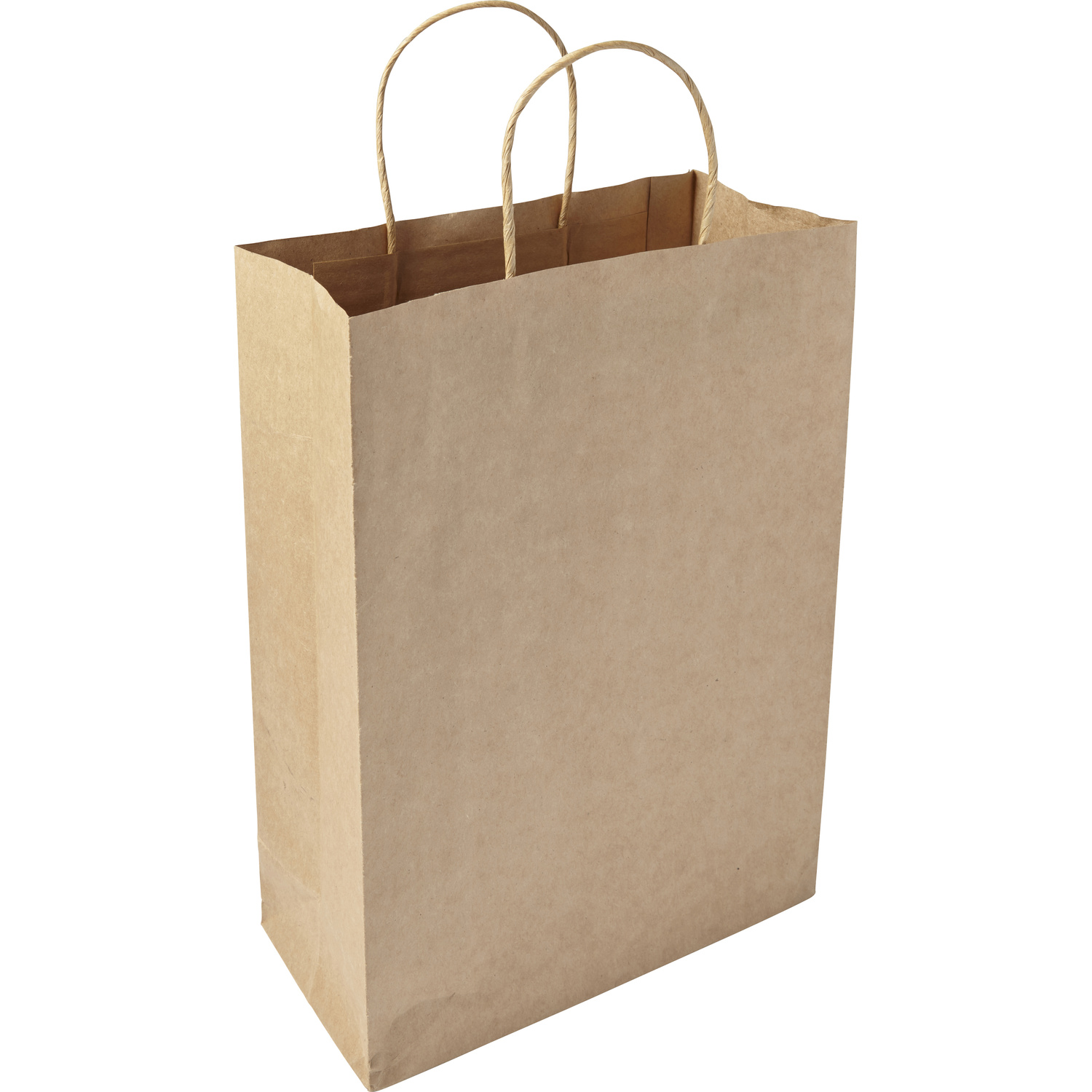 Picture of Paper bag (large)
