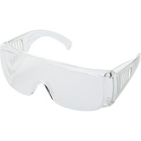 Safety glasses 4235_021 (Neutral)