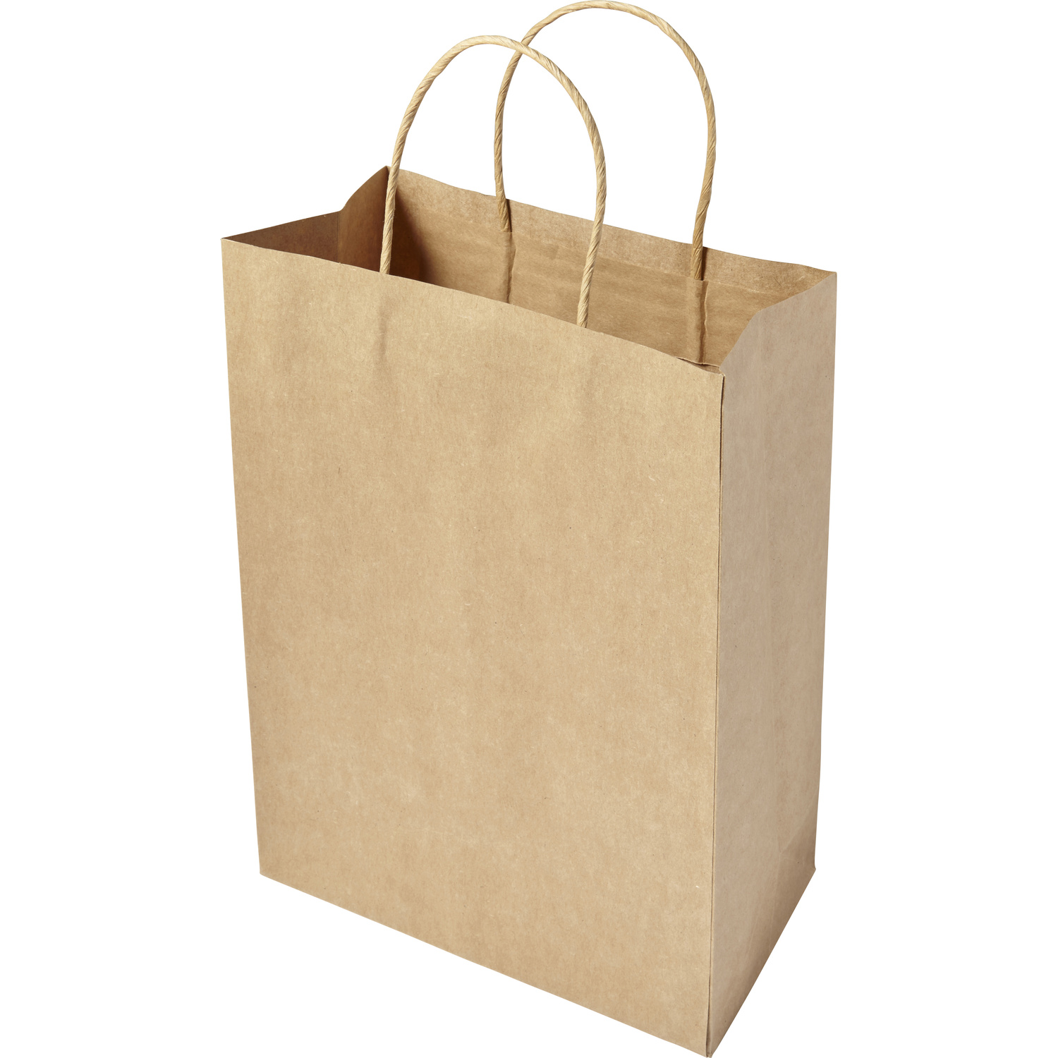 Picture of Paper bag (medium)
