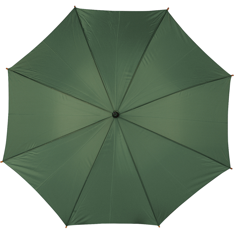 Classic nylon umbrella 4070_004 (Green)