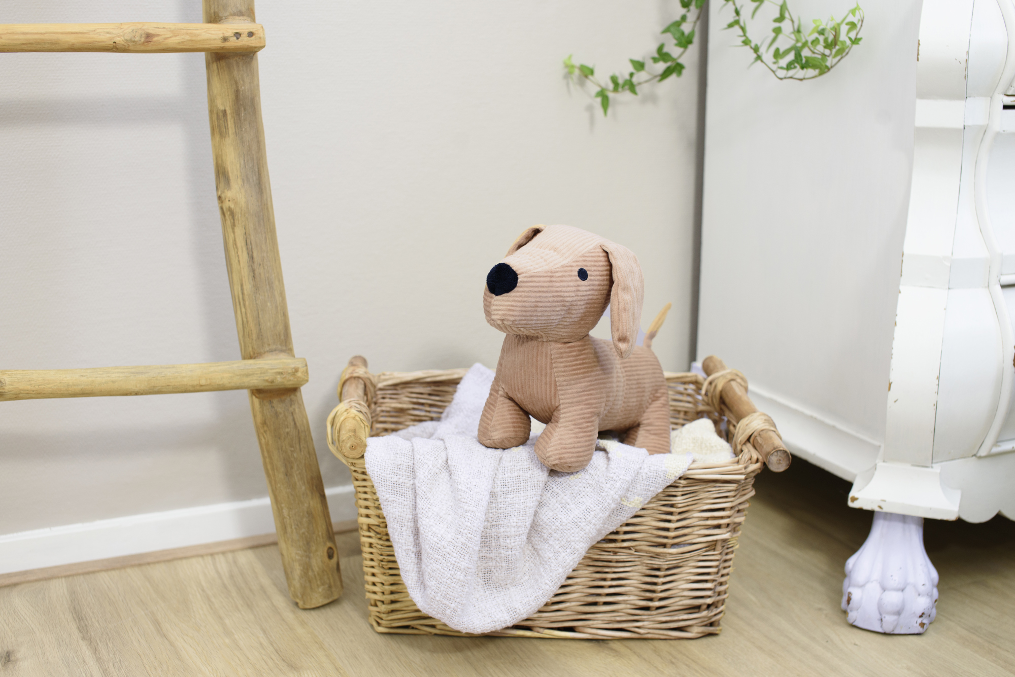 Picture of Plush dog