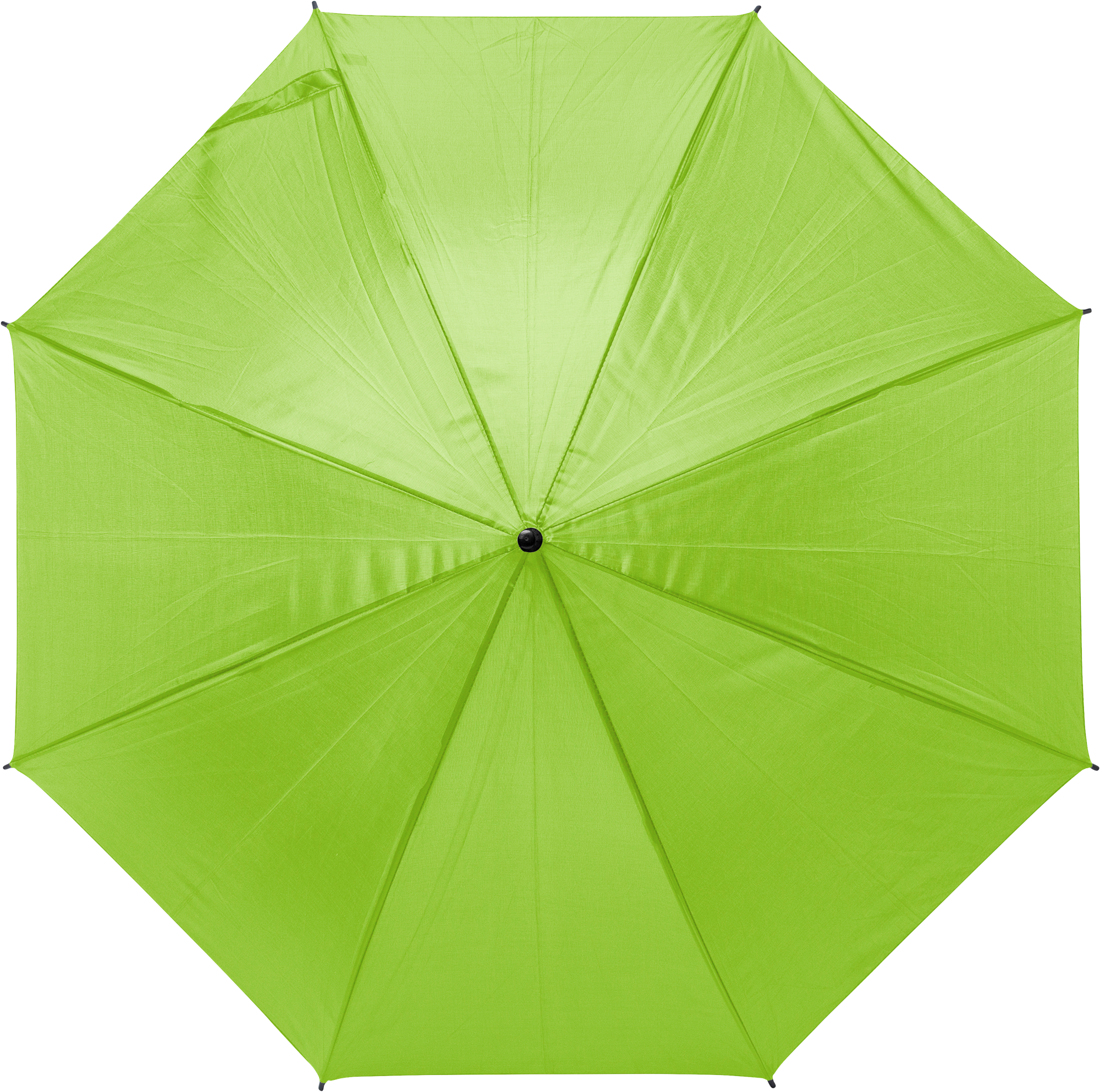 Picture of Umbrella