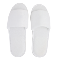 Pair of slippers X201701_002 (White)