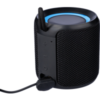 Recycled outdoor speaker 1172687_001 (Black)