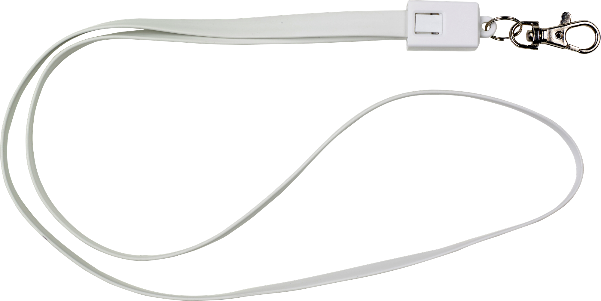 Picture of Lanyard and charging cable
