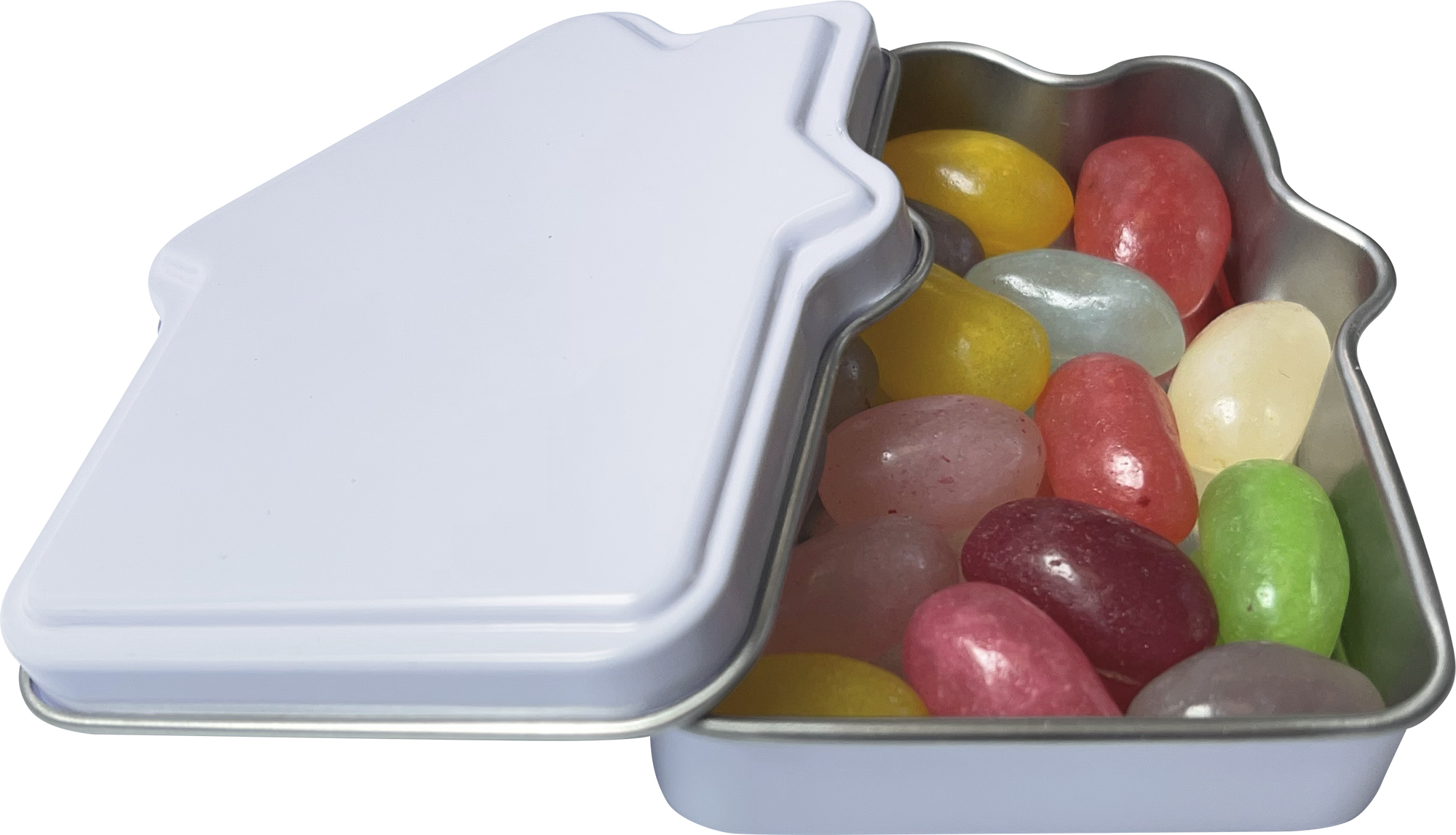 Picture of House mint tin