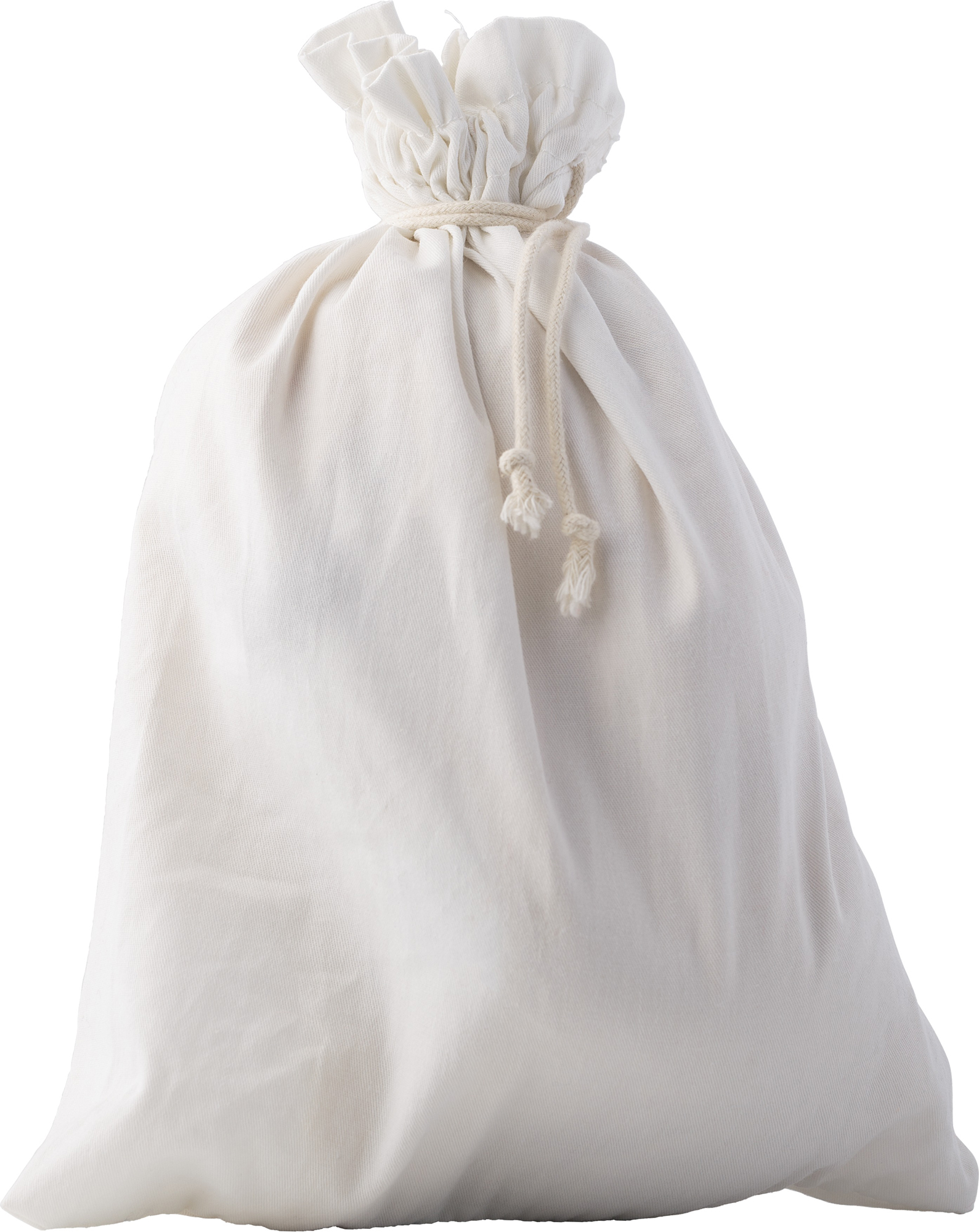 Picture of RPET Bear