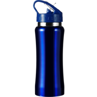 Stainless steel single walled drinking bottle (600ml) 5233_005 (Blue)