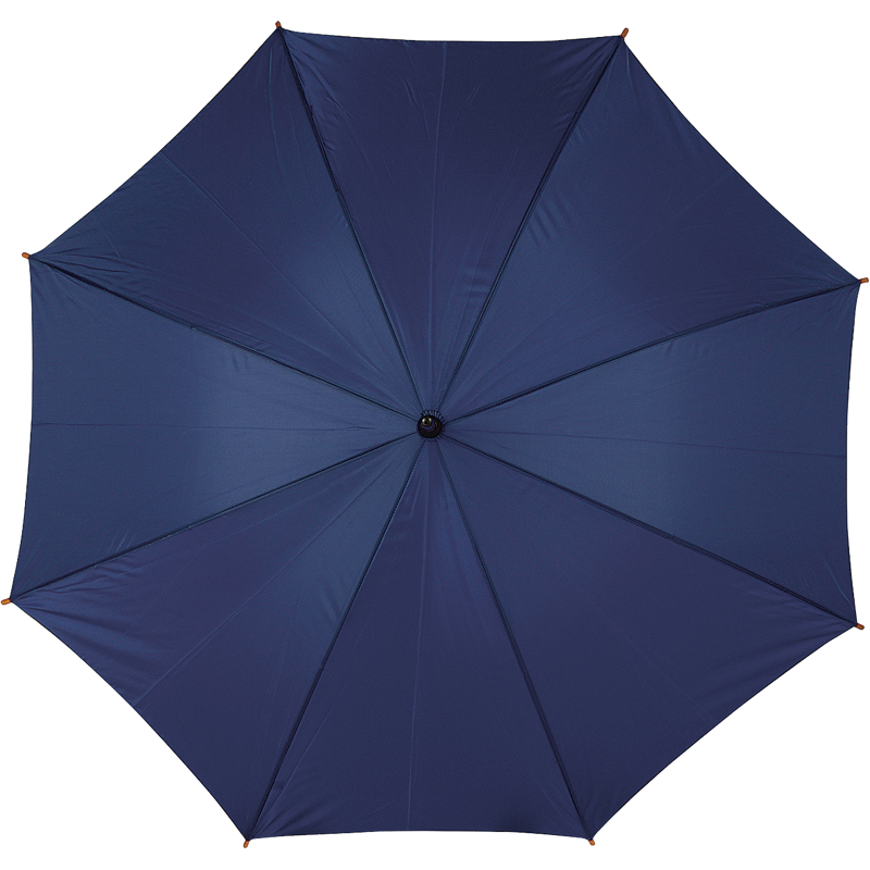 Classic nylon umbrella 4070_005 (Blue)