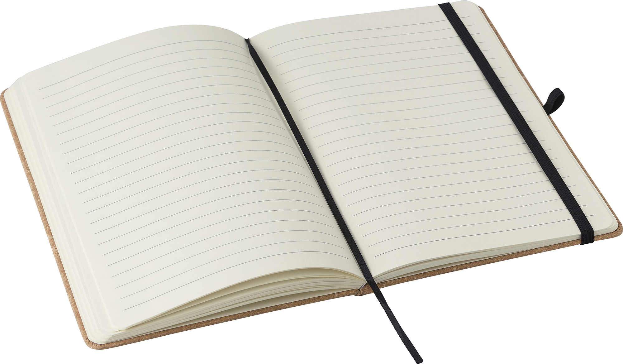 Picture of Recycled leather notebook (approx A5)