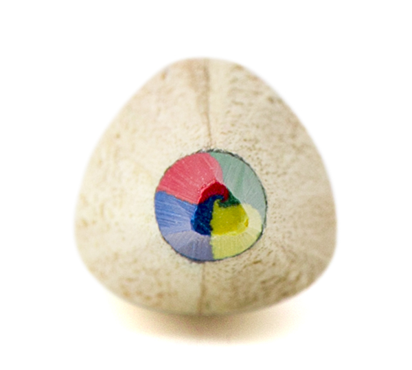 Picture of Multi coloured lead pencil