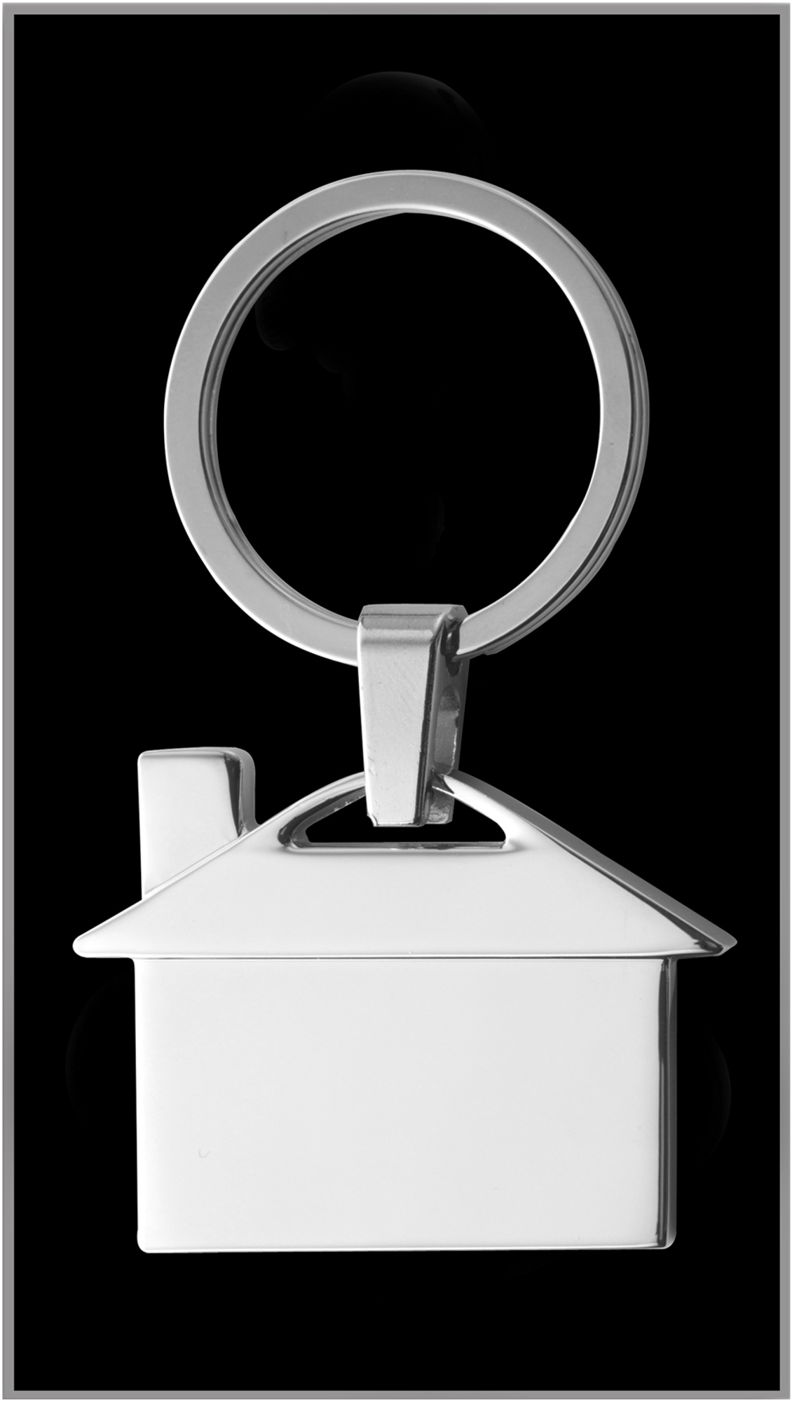 Picture of Metal house keyring