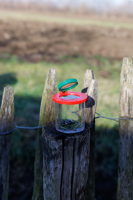 Magnifying jar 1454842_lif