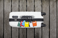 Luggage tag 3167_lif