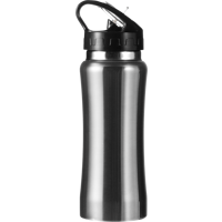 Stainless steel single walled drinking bottle (600ml) 5233_032 (Silver)