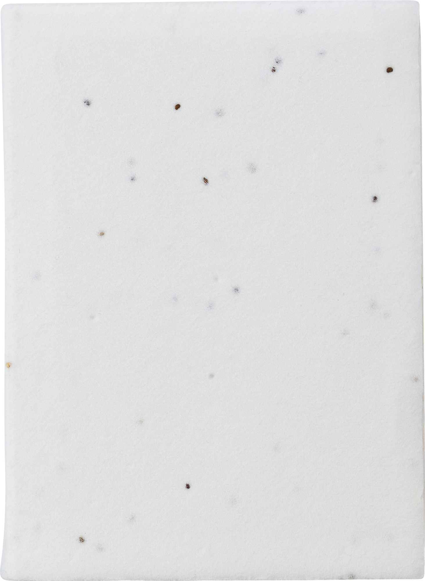 Picture of Printed seed paper sticky notes