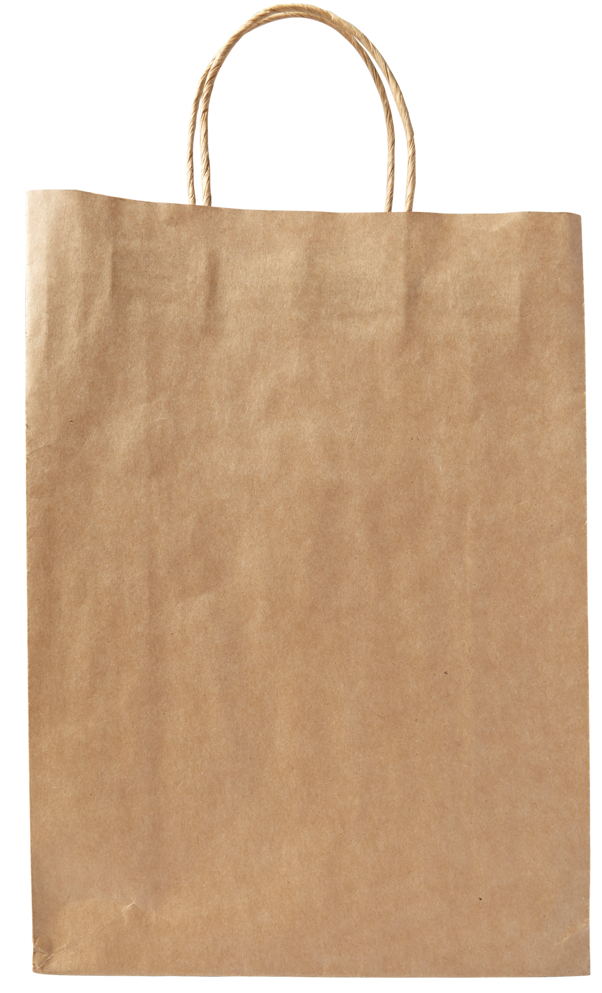Picture of Paper bag (large)