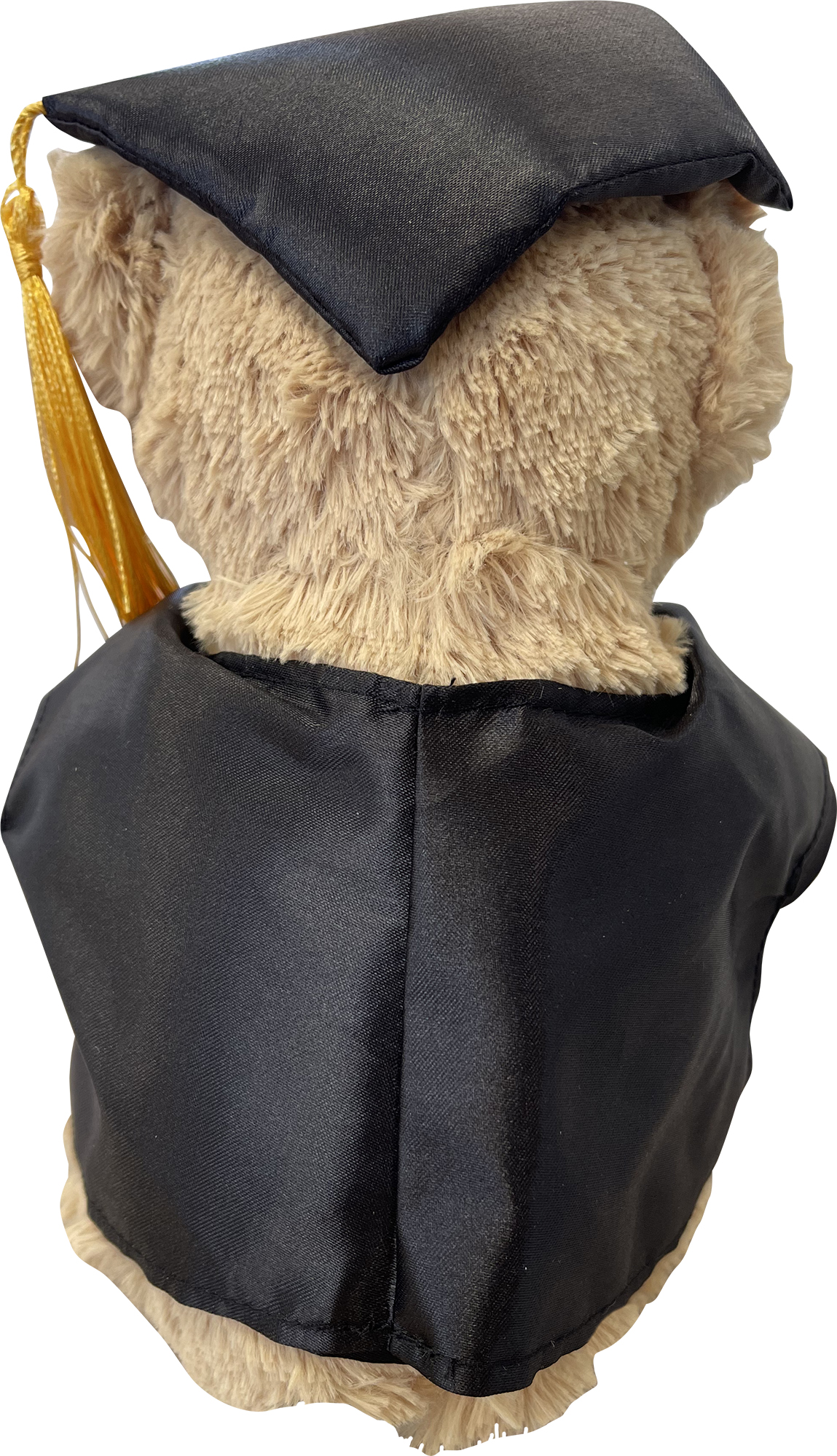 Picture of Plush graduation bear