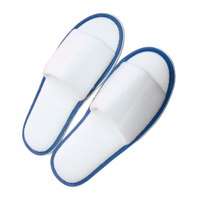 Pair of slippers X201701_005 (Blue)