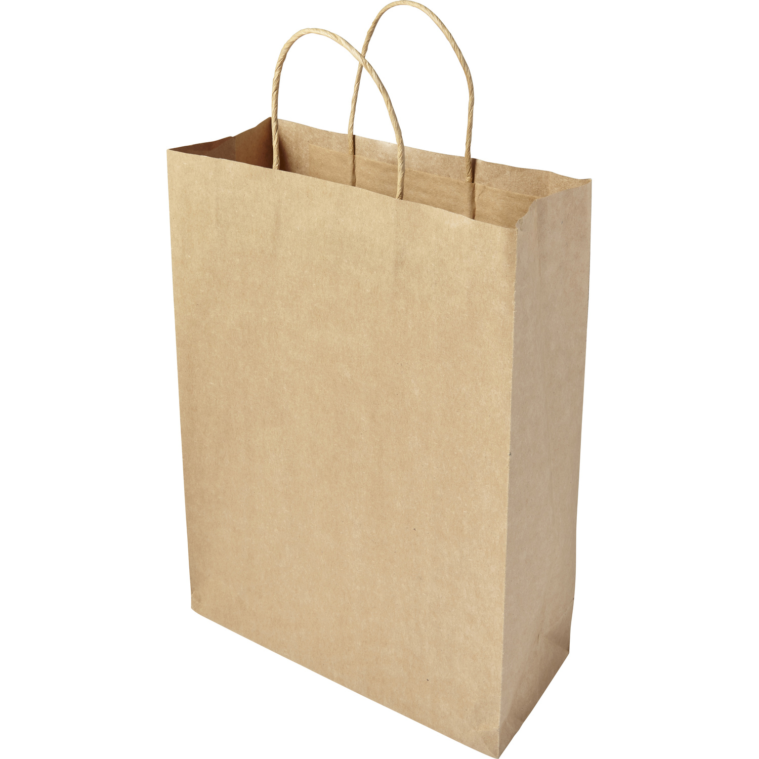 Picture of Paper bag (large)