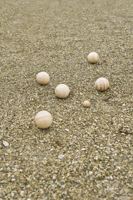 Wooden ball game 1206639_011 (Brown)